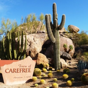 Carefree Adams, Kvittem-Barr & Assoc CPAs