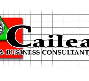 Photo of Cailean, CPA & Business Consultant
