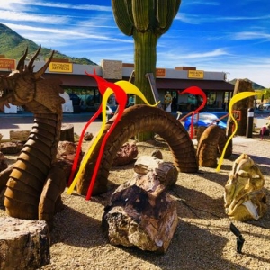 Photo of Rare Earth Gallery