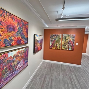 Scottsdale The Erin Hanson Gallery