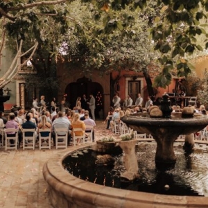 Photo of Boojum Tree Hidden Gardens