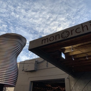 Photo of Monorchid