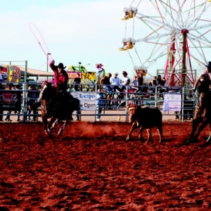Photo of Horseshoe Park & Equestrian Centre