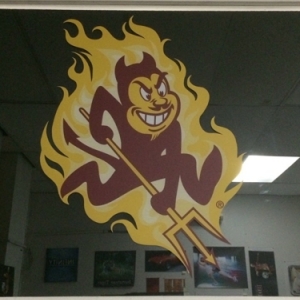 Tempe Mouse Graphics