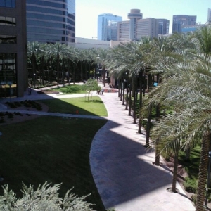Phoenix Snell & Wilmer LLP
