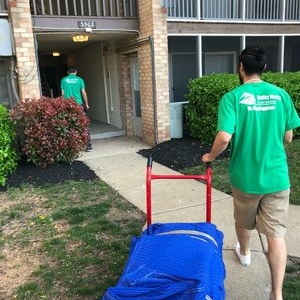 Photo of NewRay Moving