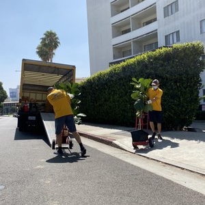 Photo of Orda Moving