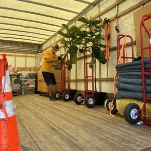 Photo of Orda Moving