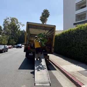 Photo of Orda Moving