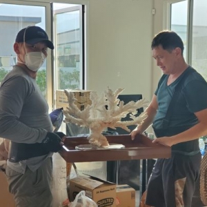 Photo of Urban Moving Services