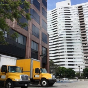 Photo of Redline Moving