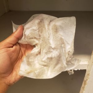 Photo of MaidThis Cleaning - Los Angeles