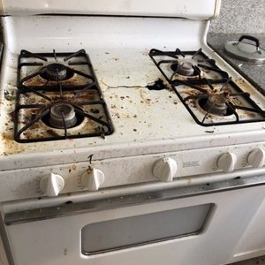 Photo of Elite Cleaning Services