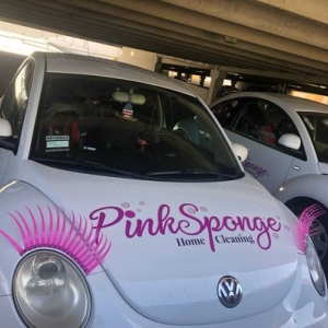 Photo of Pink Sponge
