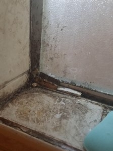 Photo of Pristine Cleaning