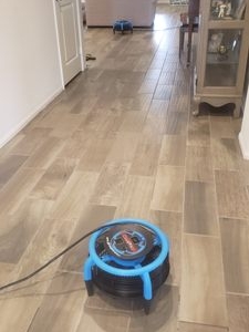 Photo of JJ Carpet Care