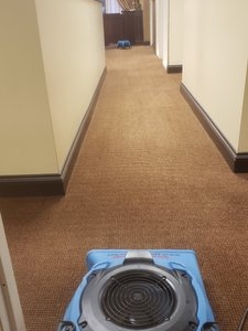Photo of JJ Carpet Care