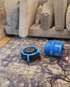 Photo of JJ Carpet Care