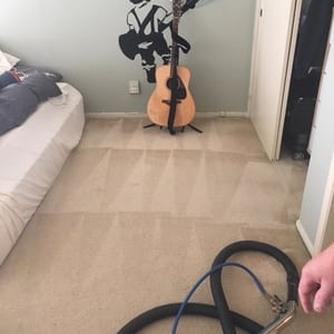 Photo of Spotless Rug Cleaners