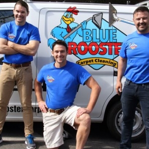 Glendale Blue Rooster Carpet Cleaning