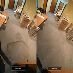 Photo of Beverly Hills Carpet Cleaners