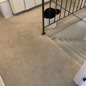 Photo of Five Star Clean