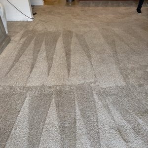 Photo of Five Star Clean