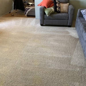 Photo of Anderson Carpet & Upholstery Cleaning