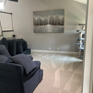 Photo of Anderson Carpet & Upholstery Cleaning