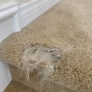 Photo of Orange County Carpet Repair & Cleaning
