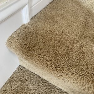 Photo of Orange County Carpet Repair & Cleaning