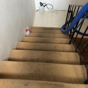 Photo of Right Way Carpet Care