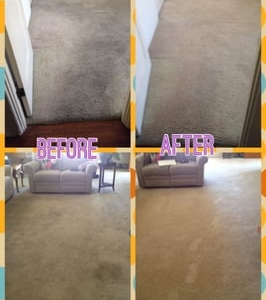Photo of Mystic Steam Carpet & Upholstery Cleaning