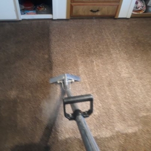 Photo of Plus 1 Carpet Care Cleaning & Restoration  Services
