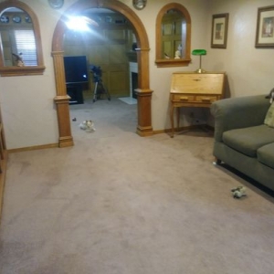 Photo of Sam Miller's Carpet Care