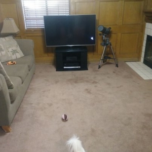 Photo of Sam Miller's Carpet Care