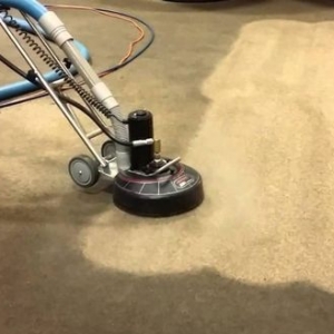 Photo of Revive Carpet Repair, Dyeing & Cleaning