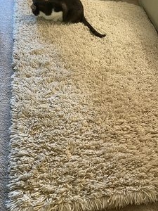 Photo of SoCal Rug Masters