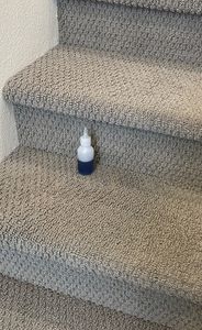 Photo of Tromp's Carpet Cleaning