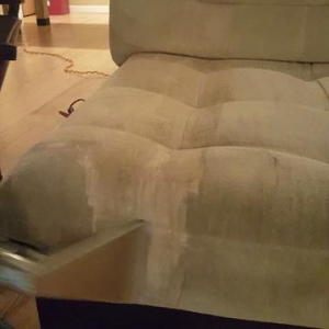 Photo of Tromp's Carpet Cleaning