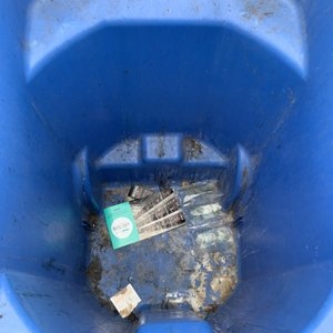 Photo of Bin Wash LA