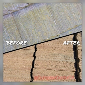 Photo of Dumpster Doctor Commercial Pressure Washing Service