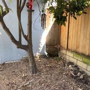 Photo of Spotless Rain Gutter Cleaning