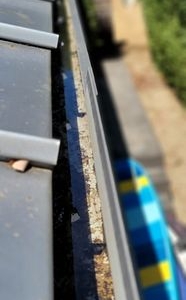 Photo of Spotless Rain Gutter Cleaning