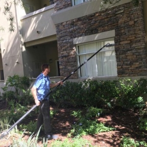 Photo of See Spot Go Window Cleaning & Pressure Washing