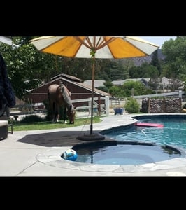 Photo of Sweet Water Pool & Spa