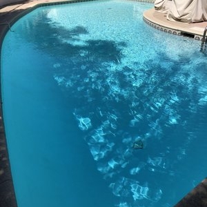 Photo of LA Poolfessional