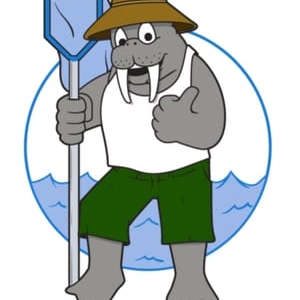 Photo of Fessenden Pool Service