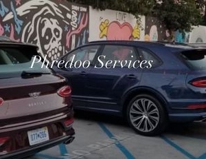 Los Angeles Phredoo services