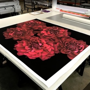 Photo of POV Fine Art Printing